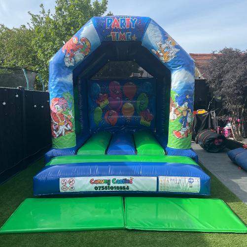 10 x 12 ft Small Blue and Green Sonic Themed Bouncy Castle