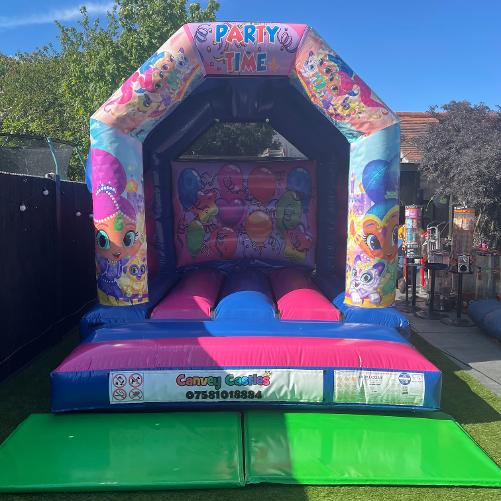 10 x 12 ft Small Pink and Blue Shimmer and Shine Bouncy Castle Hire Essex