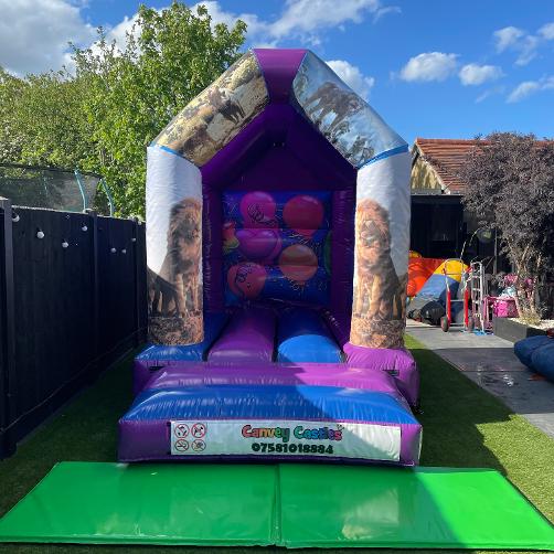 8 x 12ft Extra Small Blue and Purple Lion King Inflatable Hire Essex