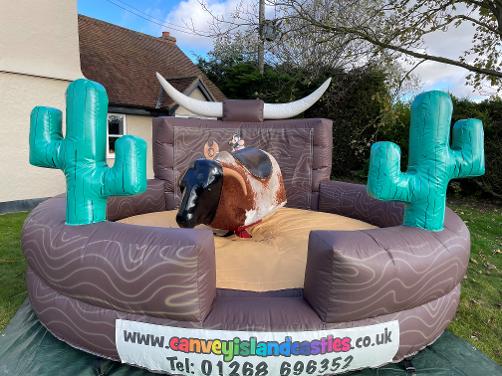 Rodeo Bull Hire Essex